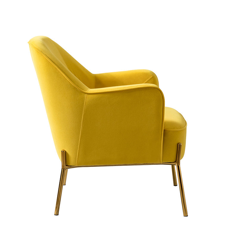 Lavina Velvet Armchair
